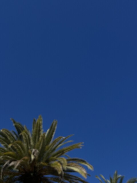 IMG 0538