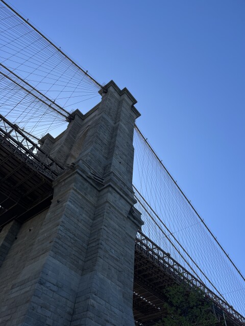 IMG 6458